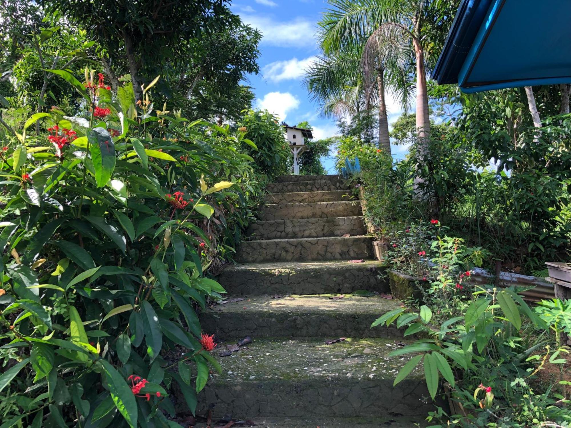 Santa Claus Hilltop San Vicente  Exterior foto